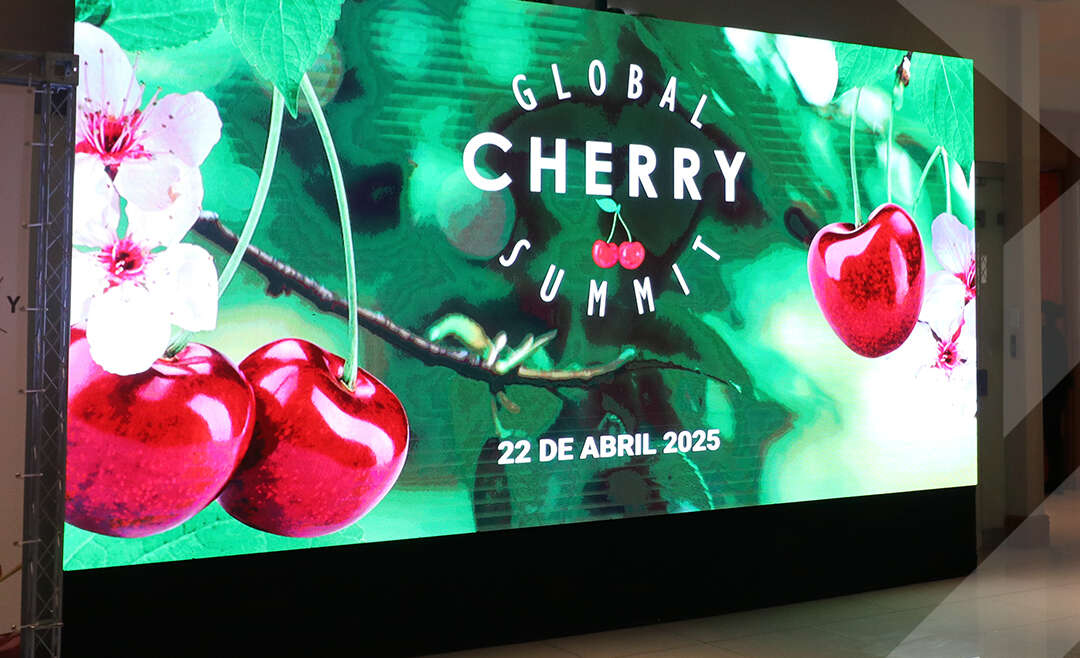 Global Cherry Summit 2025