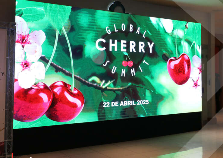 Global Cherry Summit 2025